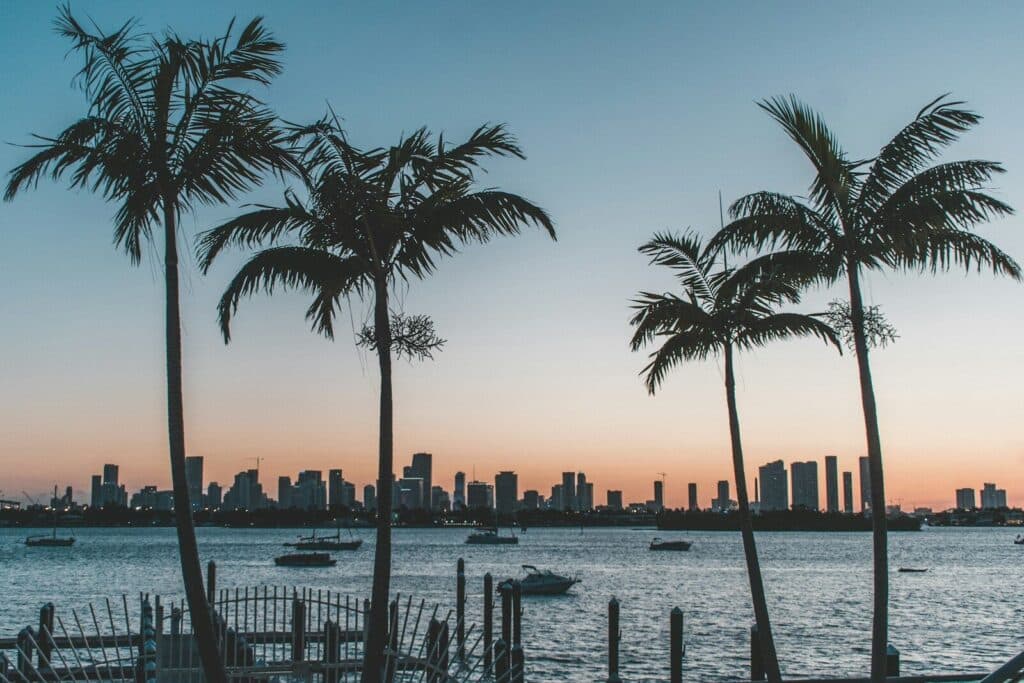 Miami Florida Miami Beach silhouette of palm trees near body of water during sunset