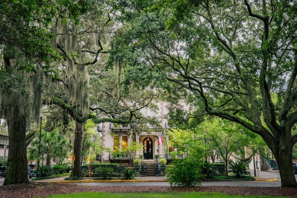 green trees near white concrete building during daytime Savannah Georgia homes